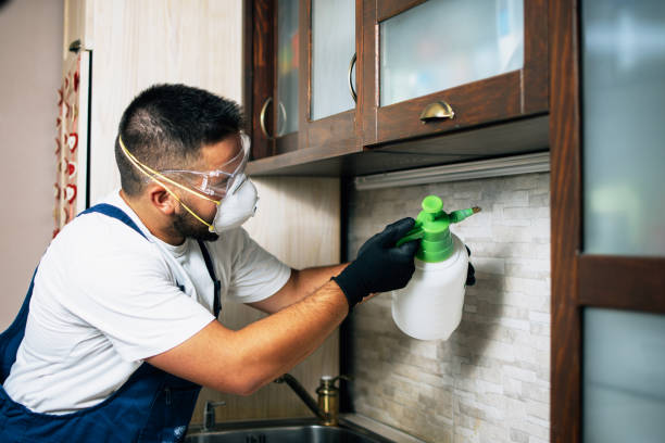 Best Flea Control Services  in Montrose, NY