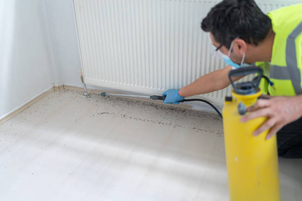 Best Exterminator Services  in Montrose, NY